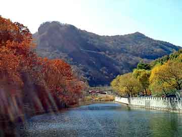 澳门二四六天天彩图库，太湖石价格